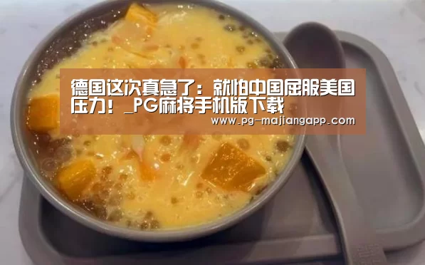 德国这次真急了:就怕中国屈服美国压力!_PG麻将手机版下载(图4) PG麻将官网入口