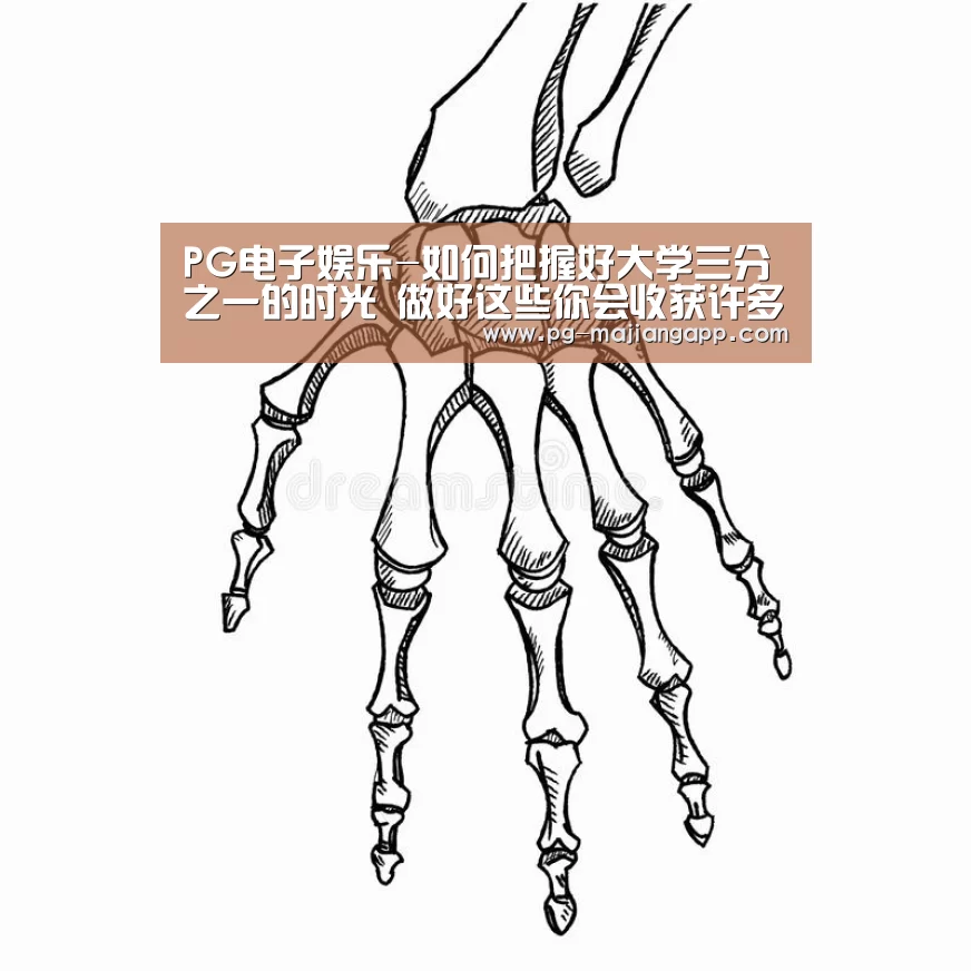 PG电子娱乐-如何把握好大学三分之一的时光 做好这些你会收获许多意想不到的东西(图3) PG麻将手机版下载